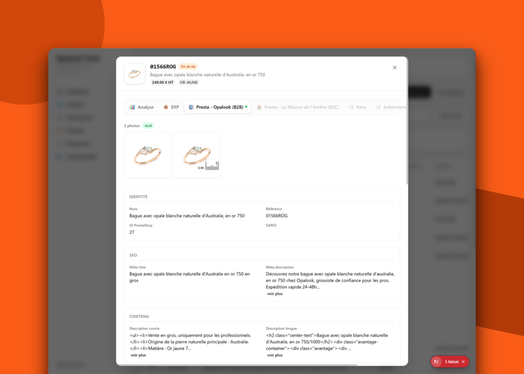 Plateforme métier sur-mesure (PIM, CRM, IA) - Opalook - visuel 1