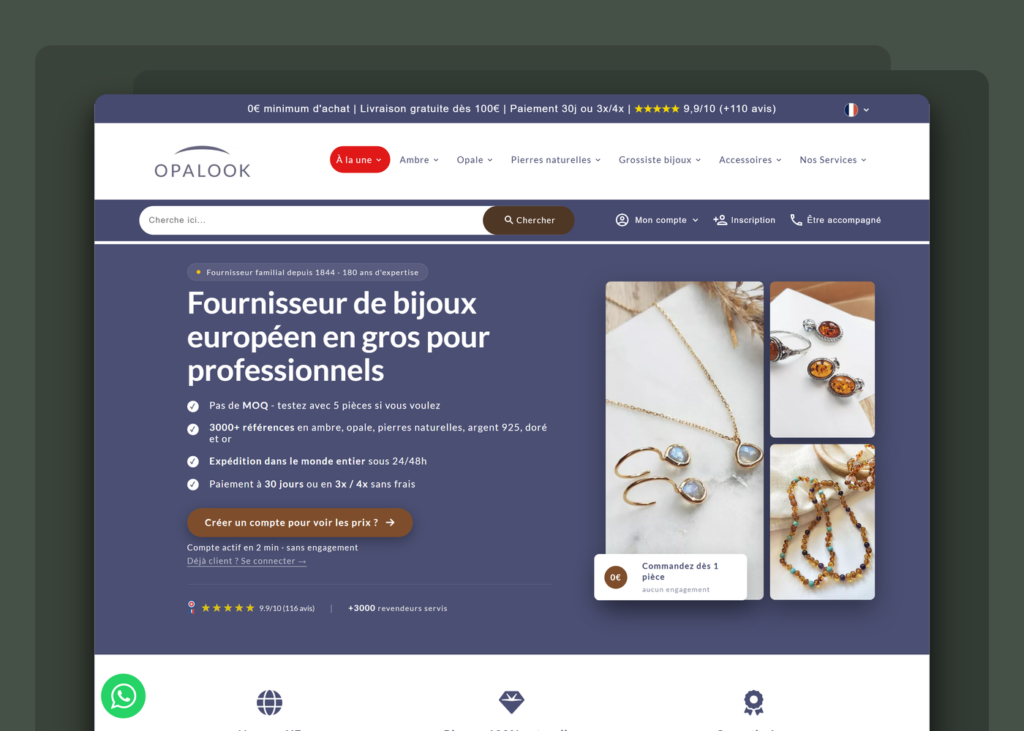 Création site e-commerce B2B international - Opalook