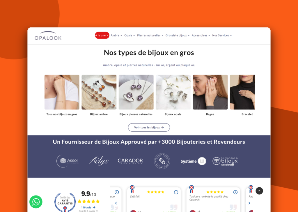Création site e-commerce B2B international - Opalook - visuel 1