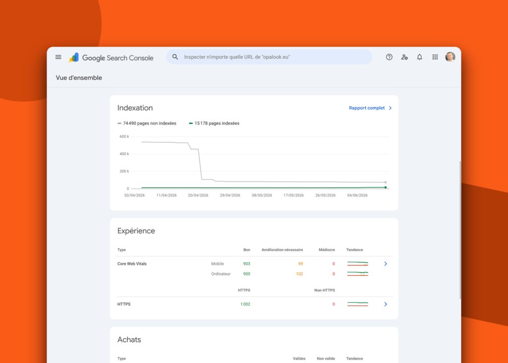 Référencement SEO d'un site e-commerce B2B international - Opalook - visuel 1