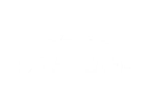 lb-logo-opalook